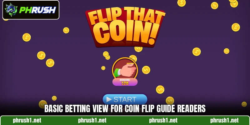 Basic betting view for Coin Flip guide readers